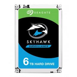 Seagate SkyHawk ST6000VX001...