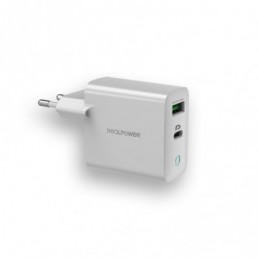 RealPower PC-20 Wall Charger