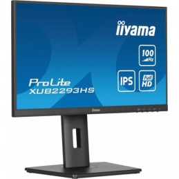 Iiyama ProLite...