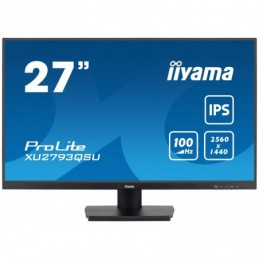 Iiyama ProLite...