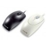 Cherry WHEELMOUSE OPTICAL Souris filaire, noir, PS2USB, Ambidextre, Optique, USB Type-A + PS2, 1000 DPI, Noir