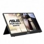 ASUS ZenScreen MB16AWP, 39,6 cm 15.6", 1920 x 1080 pixels, Full HD, LED, 5 ms, Noir