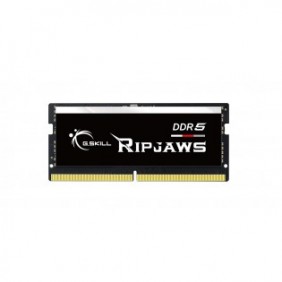 G.Skill Ripjaws F5-4800S4039A32GX1-RS, 32 Go, 1 x 32 Go, DDR5, 4800 MHz, 262-pin SO-DIMM