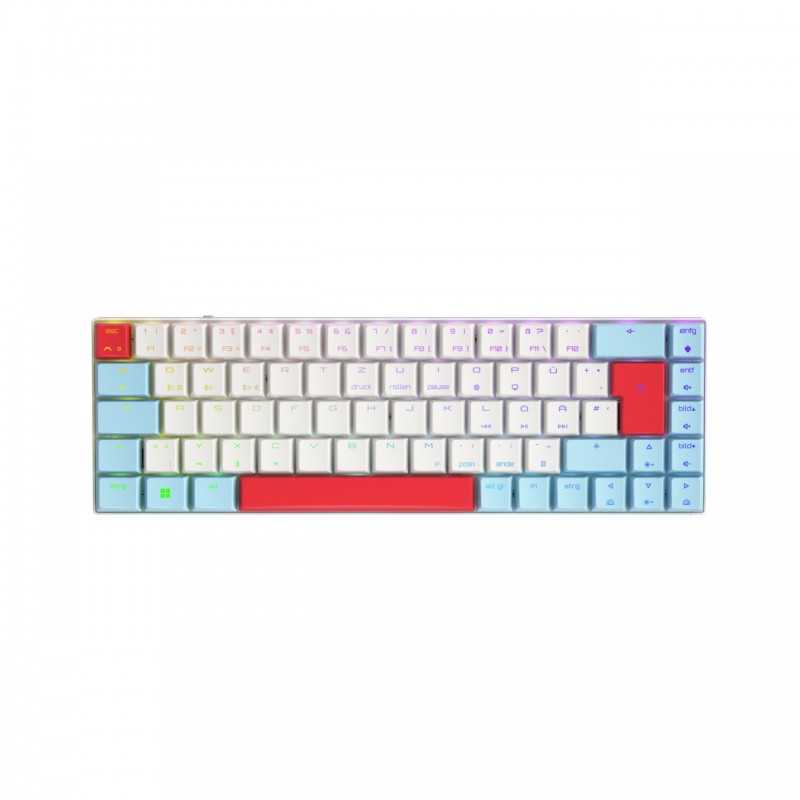 Cherry MX-LP 2.1 Compact Wireless, Sans fil, RF sans fil + Bluetooth, Clavier mécanique, QWERTZ, LED RGB, Blanc