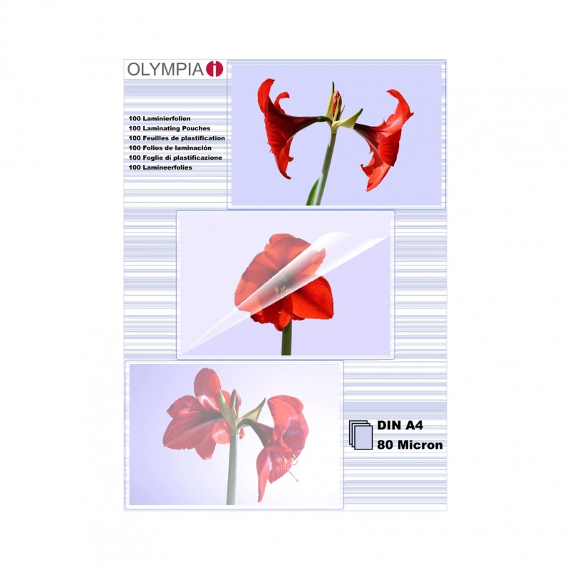 Olympia 1x100 DIN A4 80 micron, Transparent, DIN A4, 100 pièce