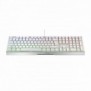 Cherry XTRFY MX 3.1, Avec fil, USB, Clavier mécanique, QWERTZ, LED RGB, Blanc
