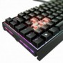 Cherry XTRFY MX 3.1, Avec fil, USB, Clavier mécanique, QWERTZ, LED RGB, Noir
