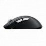 Cherry XTRFY M64 Pro Wireless, RF sans fil, 26000 DPI, Noir, Argent