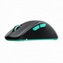 Cherry XTRFY M64 Wireless, RF sans fil, 26000 DPI, Noir, Turquoise