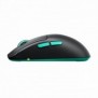 Cherry XTRFY M68 Wireless, RF sans fil, 26000 DPI, Noir, Turquoise
