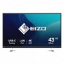 EIZO FlexScan EV4340X-BK, 108 cm 42.5", 3840 x 2160 pixels, 4K Ultra HD, LED, 5 ms, Noir