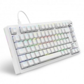 Sharkoon SGK25, 75%, Avec fil, USB, QWERTZ, LED RGB, Blanc