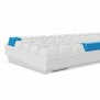 Sharkoon SGK50 S4, 60%, Avec fil, USB, QWERTZ, LED RGB, Blanc