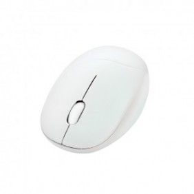 ASUS Fragrance Mouse MD101, Ambidextre, Optique, RF sans fil + Bluetooth, 2400 DPI, Blanc