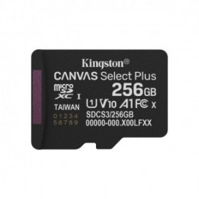 Kingston 256GB micSDXC Canvas Select Plus Gen3 150R A1 Adaptateur SD non inclus, 256 Go, MicroSDXC, Classe 10, UHS-I, 150 Mos, Class 1