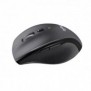Logitech LGT-M705S, Droitier, Optique, RF sans fil, 1000 DPI, Charbon de bois