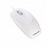 Cherry WHEELMOUSE OPTICAL Souris filaire, gris clair, PS2USB, Ambidextre, Optique, USB Type-A, 1000 DPI, Blanc