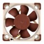 Noctua NF-A4x10 5V, Ventilateur, 4 cm, 4500 trmin, 17,9 dB, 8,2 m³h, Beige, Marron