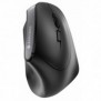 Cherry MW 4500 Souris ergonomique sans fil, pour droitiers, inclinée à 45, noir, USB, Droitier, Conception verticale, Optique, RF sans fil, 1200 DPI, Noir