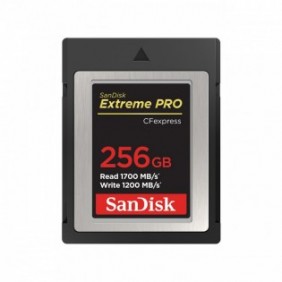 SanDisk SDCFE-256G-GN4NN, 256 Go, CFexpress, 1700 Mos, 1200 Mos, Noir