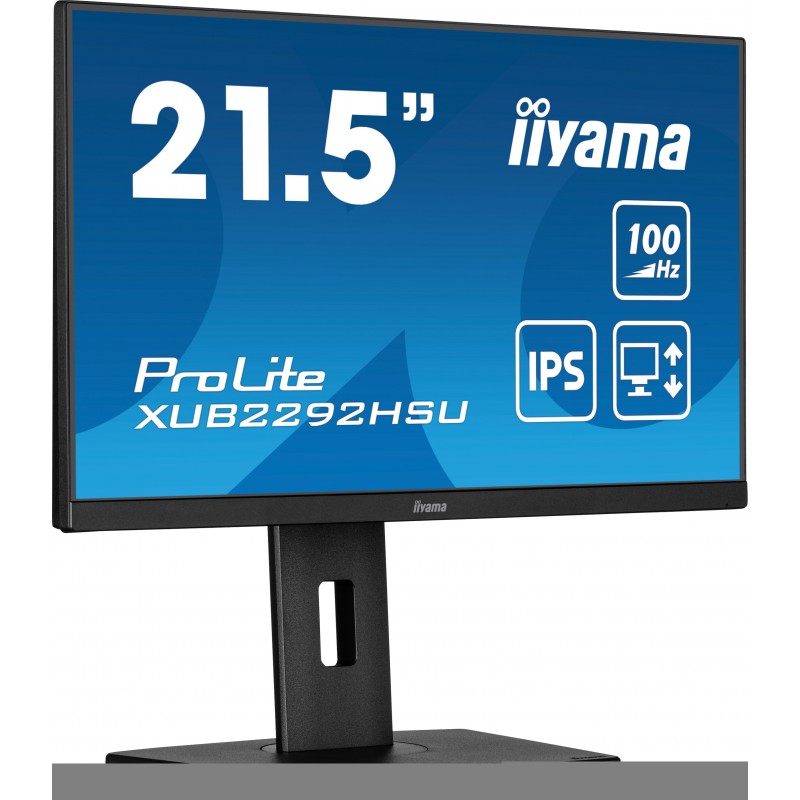 Iiyama ProLite XUB2292HSU-B6, 55,9 cm 22", 1920 x 1080 pixels, Full HD, LED, 0,4 ms, Noir