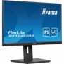 Iiyama ProLite XUB2493HS-B6, 60,5 cm 23.8", 1920 x 1080 pixels, Full HD, LED, 0,5 ms, Noir