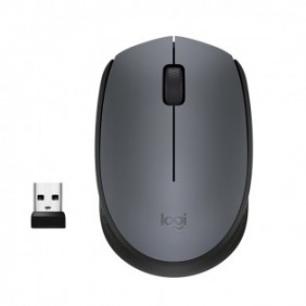 Logitech M170 Grey-K, Ambidextre, Optique, RF sans fil, 1000 DPI, Gris
