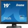 Iiyama ProLite E1980S-B1, 48,3 cm 19", 1280 x 1024 pixels, VGA, LED, 3 ms, Noir
