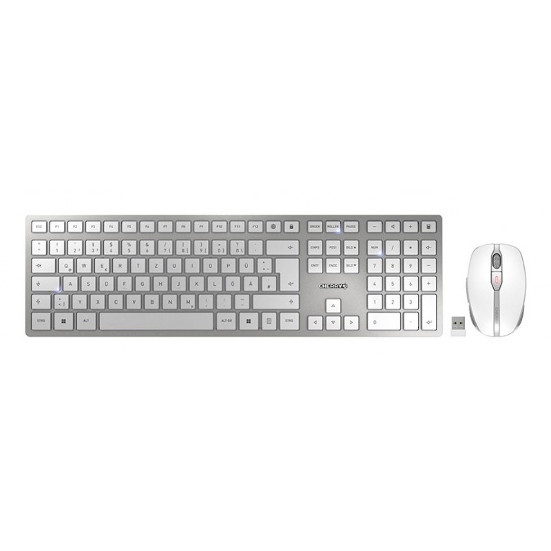 Cherry DW 9100 SLIM, Sans fil, RF sans fil + Bluetooth, QWERTZ, Argent, Souris incluse