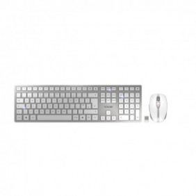 Cherry DW 9100 SLIM, Sans fil, RF sans fil + Bluetooth, QWERTY, Argent, Souris incluse