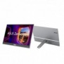 ASUS ZenScreen MQ16AHE, 39,6 cm 15.6", 1920 x 1080 pixels, Full HD, OLED, 1 ms, Argent