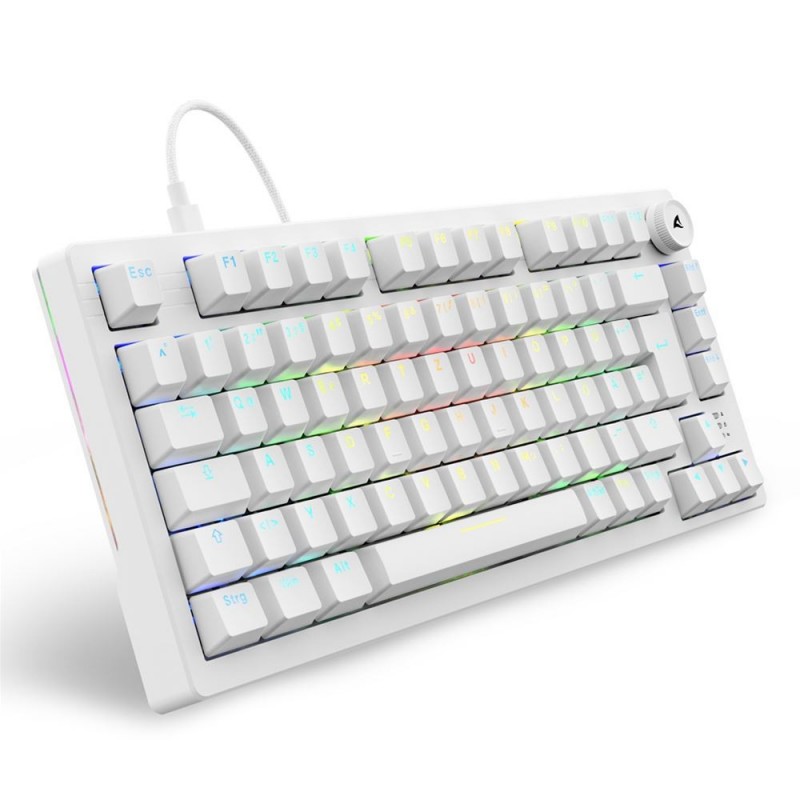 Sharkoon SGK25, 75%, Avec fil, USB, QWERTZ, LED RGB, Blanc