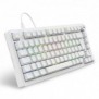 Sharkoon SGK25, 75%, Avec fil, USB, QWERTZ, LED RGB, Blanc