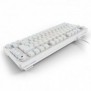 Sharkoon SGK25, 75%, Avec fil, USB, QWERTZ, LED RGB, Blanc