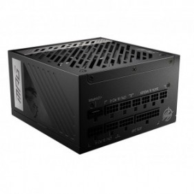 MSI MPG A1000G PCIE5, 1000 W, 100 - 240 V, 50 - 60 Hz, Actif, 120 W, 1000 W