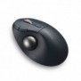 Kensington Trackball Pro Fit Ergo TB550, Droitier, Trackball, RF sans fil + Bluetooth, 1600 DPI, Noir, Gris