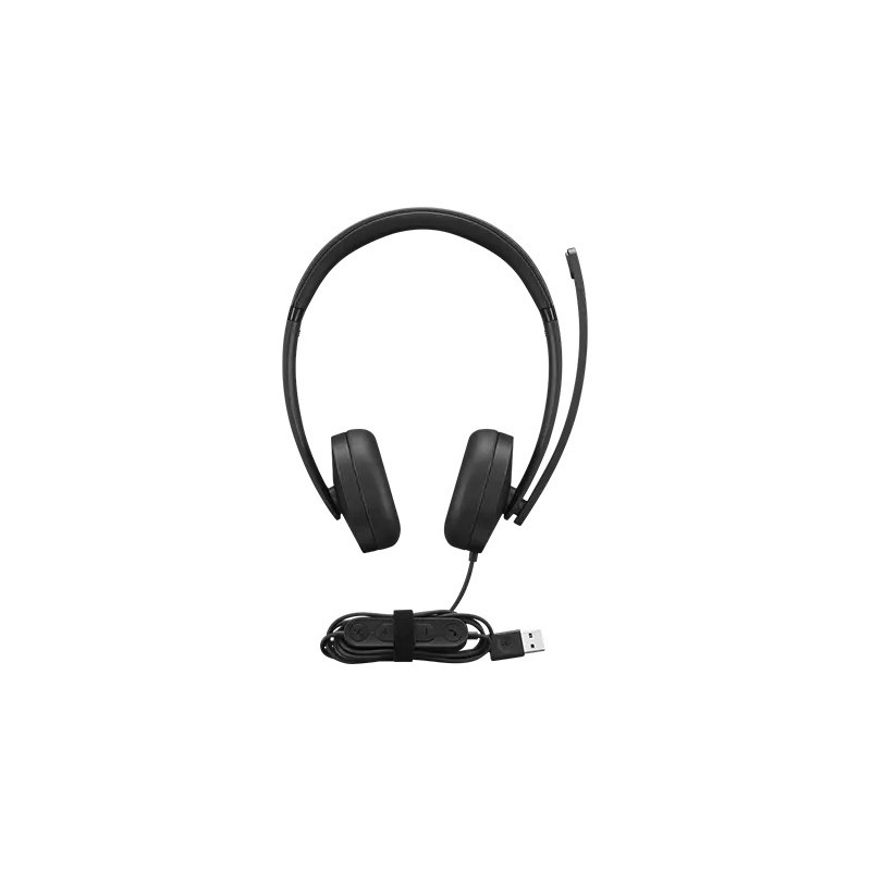 Lenovo 4XD1P83425, Avec fil, AppelsMusique, 20 - 20000 Hz, 140 g, Casque, Noir