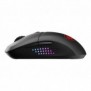 MSI VERSA 300 ELITE WIRELESS, Droitier, Optique, RF Wireless + Bluetooth + USB Type-C, 26000 DPI, 1 ms, Noir