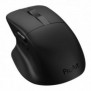 ASUS ProArt Mouse MD301, Droitier, Optique, RF Wireless + Bluetooth + USB Type-A, 8000 DPI, Noir