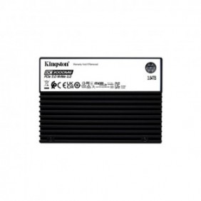Kingston 3,84TB DC3000ME U.2 PCIe 5.0 NVMe TCG Opal Enterprise SSD, 3,84 To, U.2, 14000 Mos