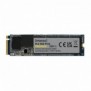 Intenso M.2 SSD PCIe Premium, 250 Go, M.2, 2100 Mos