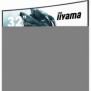 Iiyama G-MASTER GCB3280QSU-B2, 80 cm 31.5", 2560 x 1440 pixels, Dual QHD, LED, 0,2 ms, Noir