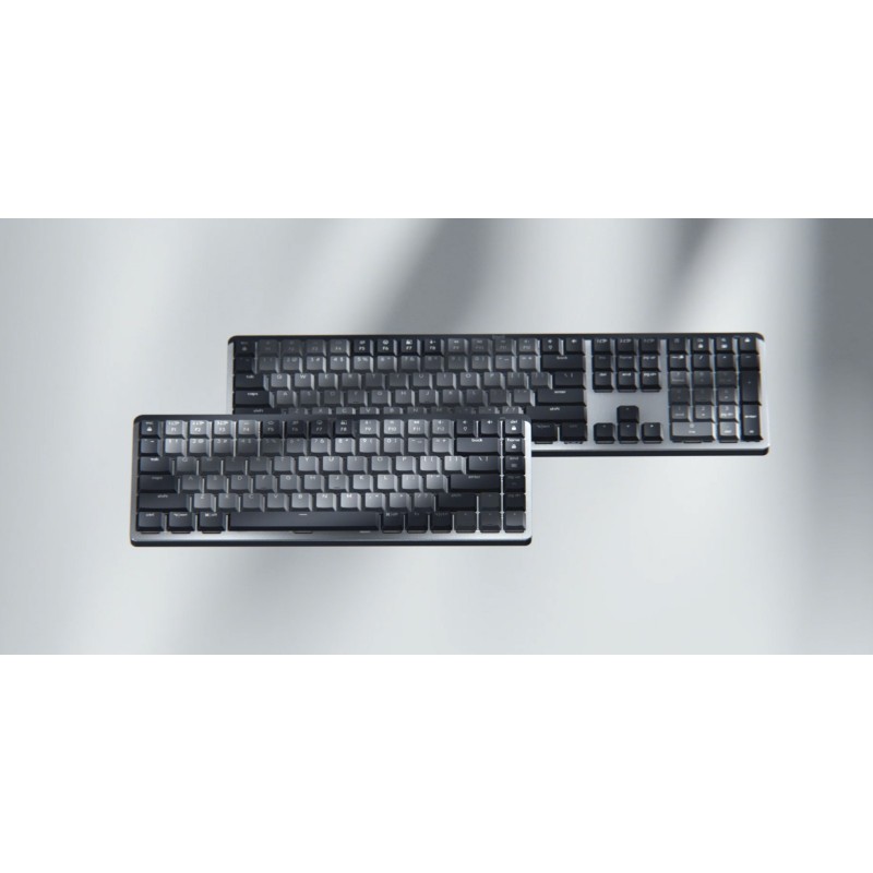 Logitech Master 920-010757, Sans fil, RF sans fil + Bluetooth, Clavier mécanique, QWERTY, LED, Graphite