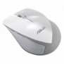 ASUS WT465, Droitier, Optique, RF sans fil, 1600 DPI, Noir