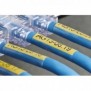 Brother TZE-SL651, Noir sur or, TZe, Jaune, Chine, 5 année, PT-D800W PT-E550WVP PT-P900W PT-P950NW