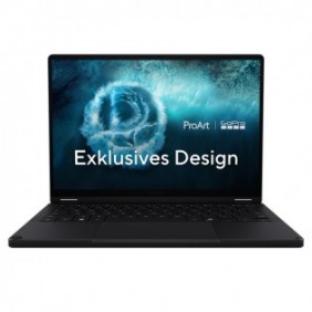 ASUS HN7306EAC 13,3" 128GB 2000GB Radeon 8000 Win 11 Pro