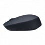 Logitech M170 Grey-K, Ambidextre, Optique, RF sans fil, 1000 DPI, Gris