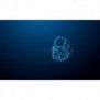 Kingston IronKey 256 Go Locker Plus 50 G2, FIPS 197, AES-256, 256 Go, USB Type-A, 3.2 Gen 1 3.1 Gen 1, 145 Mos, Casquette, Noir