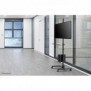 Neomounts FPMA-MOBILE1700 Station de travail mobile 10-32", Noir, Acier, 8 kg, 25,4 cm 10", 81,3 cm 32", 75 x 75 mm