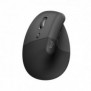 Logitech Lift for Business, Gauche, Conception verticale, Optique, RF sans fil + Bluetooth, 4000 DPI, Graphite